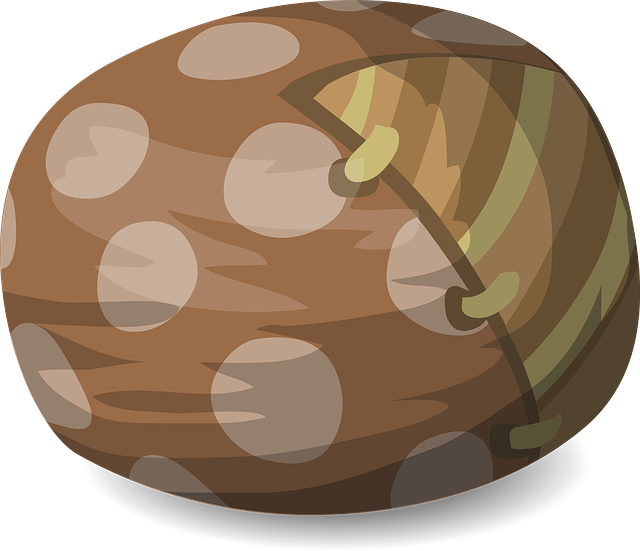 vaky