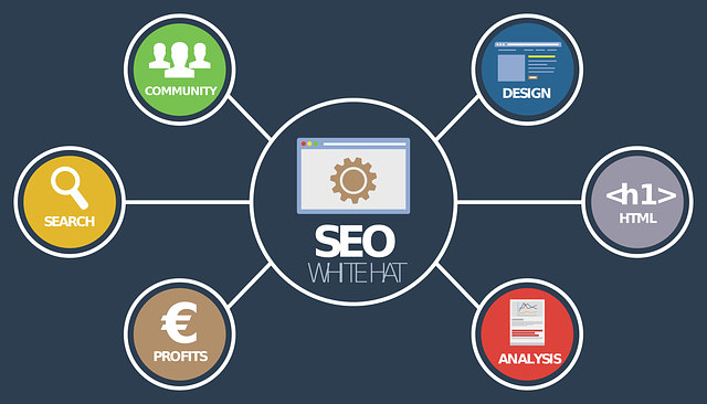 seo analýza on-line 65